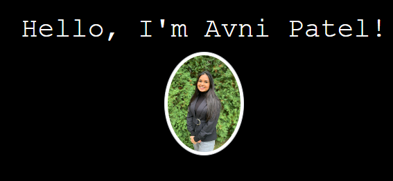 Professional Portfolio